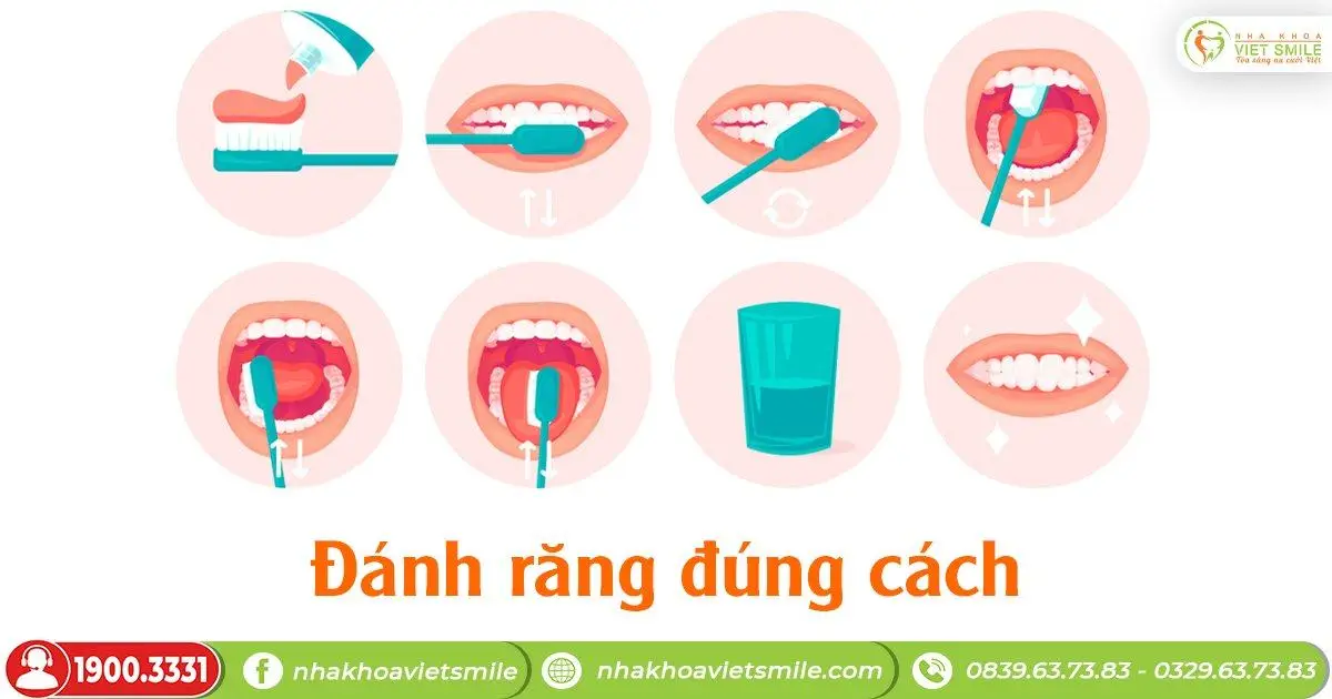 Đánh răng đúng cách hết bị sưng lợi