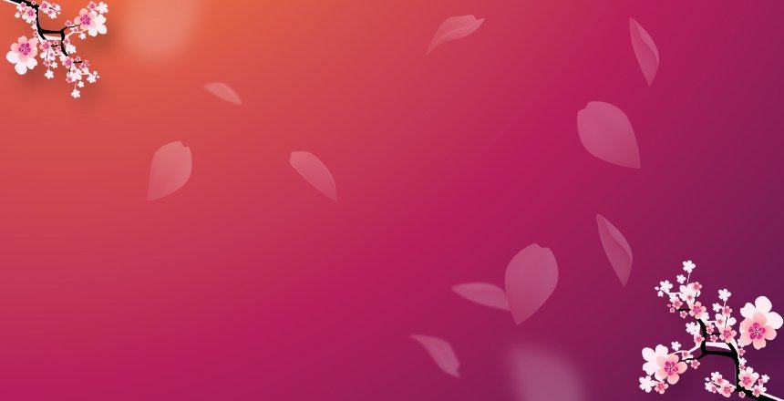 VietSmile Trị Cười Hở Lợi